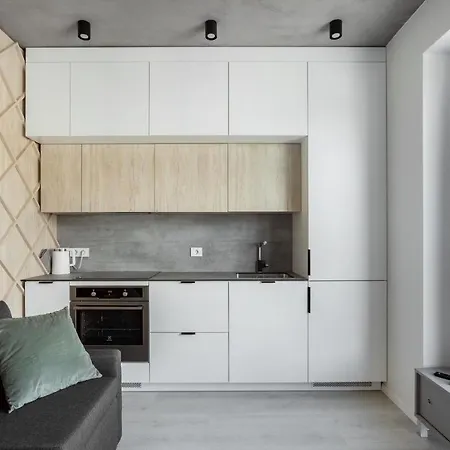Brand New Smart House Center Vilnius